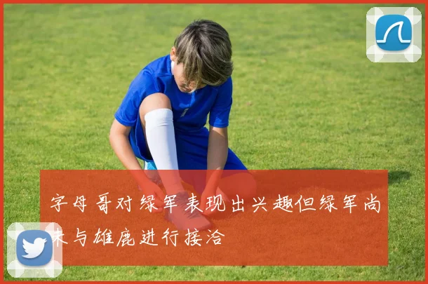 字母哥对绿军表现出兴趣但绿军尚未与雄鹿进行接洽