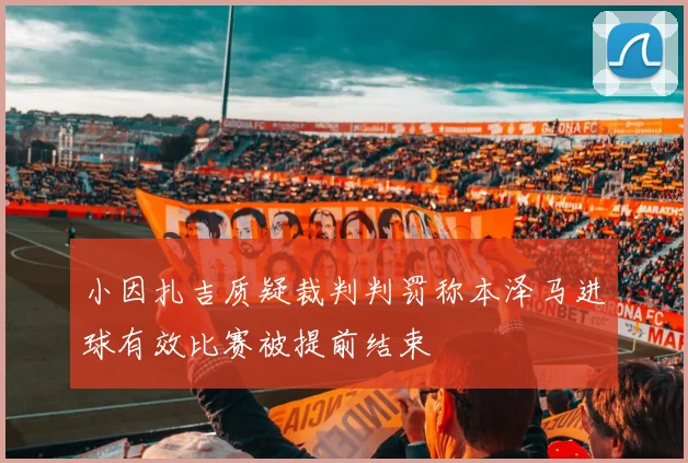 小因扎吉质疑裁判判罚称本泽马进球有效比赛被提前结束